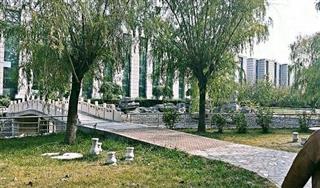 保定平安技工学校